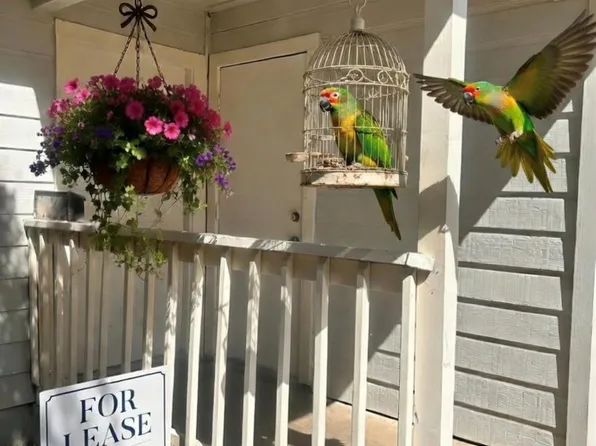 9603 Nightjar Dr Unit A, Austin, TX 78748