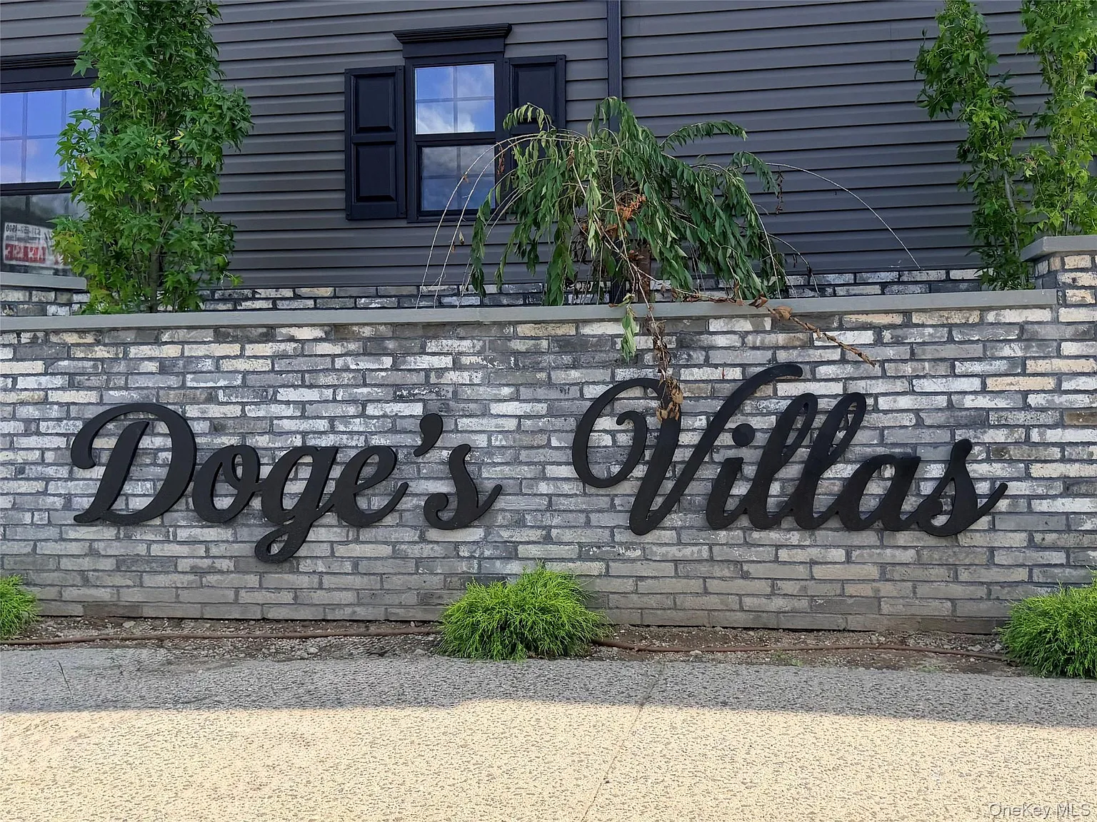 1220 Doges Prom — Photo 1