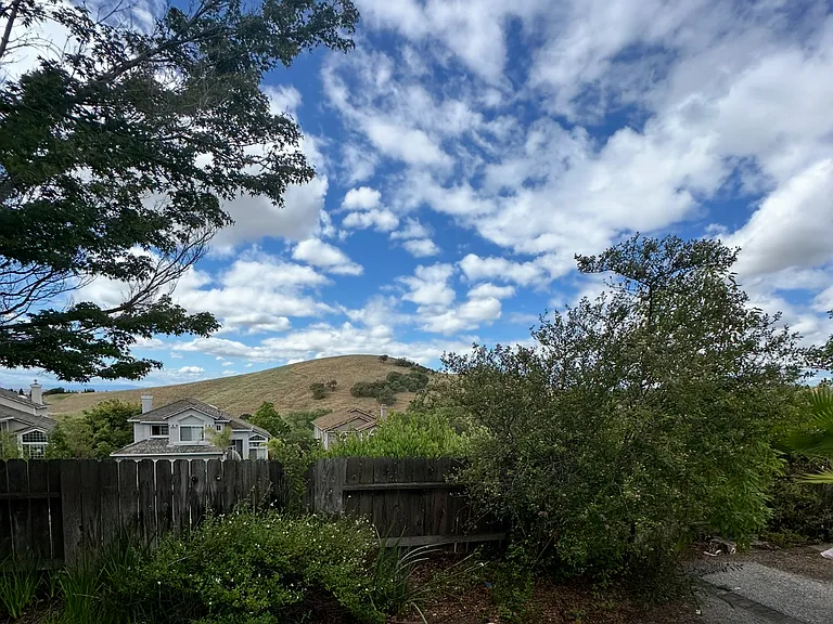 3121 Sonoma Valley Dr — Photo 2