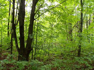 Lowry Ln, Comins, MI 48619