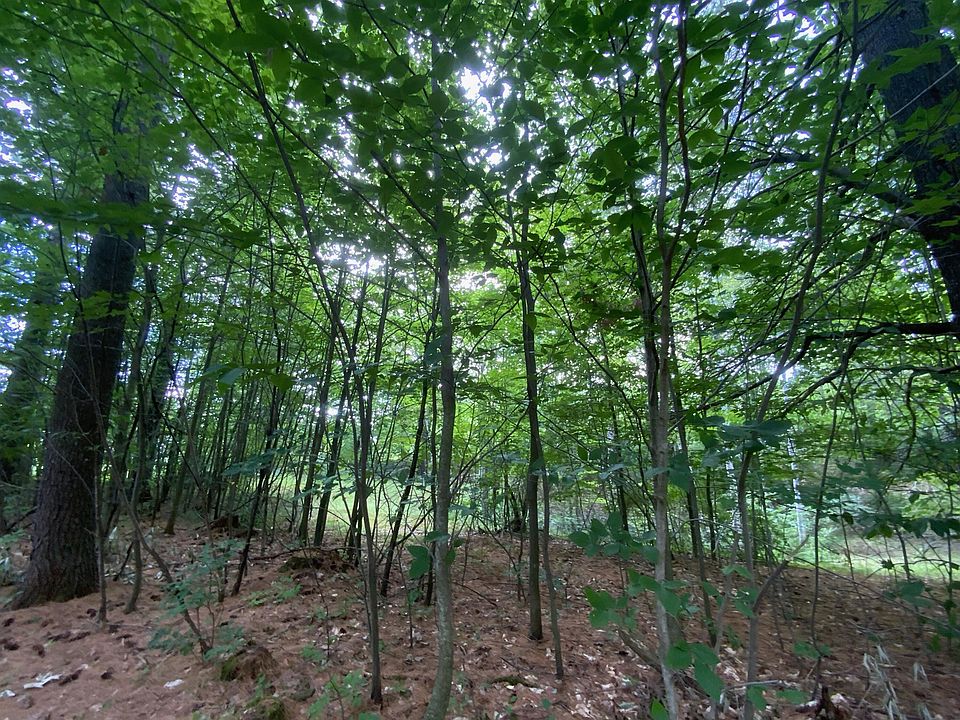 m-6-4-rowell-mount-road-32-l-32-4-solon-me-04979-mls-1552771-zillow