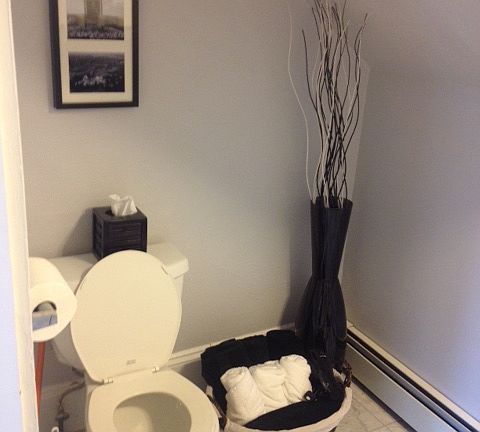 4th image of 23 Annandale Rd APT 2