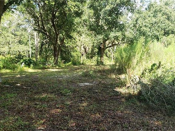 3rd image of 12451 Country Side Dr