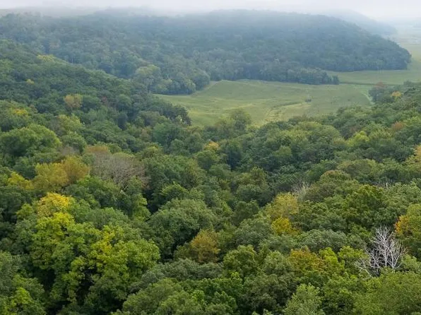 LOT 4 Goat Back Rd, Pepin, WI 54759
