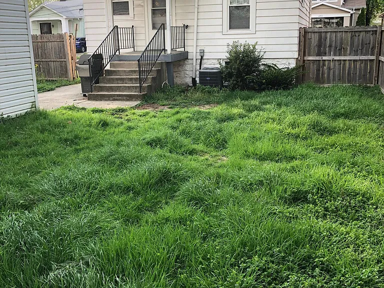 Back view of yard, porch, house