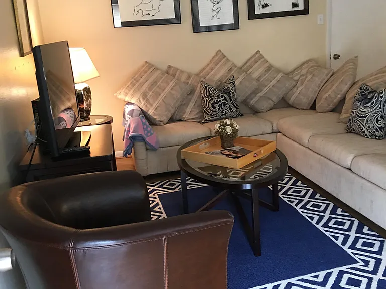 Two Large Comfortable Couches Suitable For Sleeping