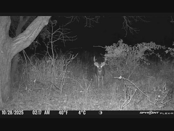 2nd image of 0 Springport Rd