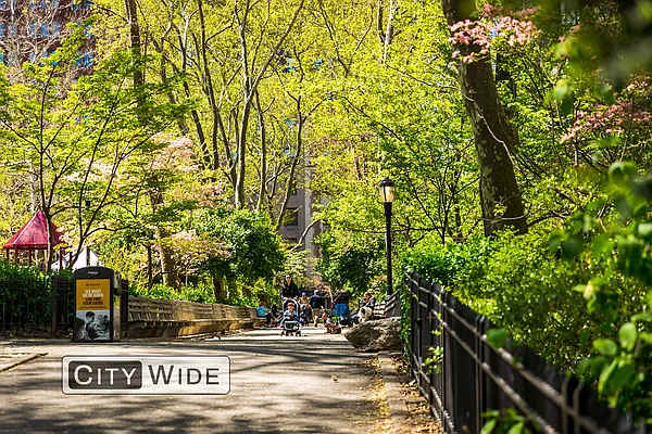Rented by City Wide Apartments | media 1
