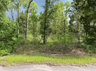 Fisher Lane Way LOT 1, Ocklawaha, FL 32179