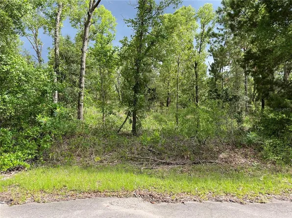 FISHER LANE WAY LOT 1, OCKLAWAHA, FL 32179