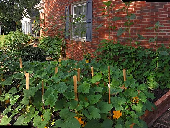 2nd Garden behind garage