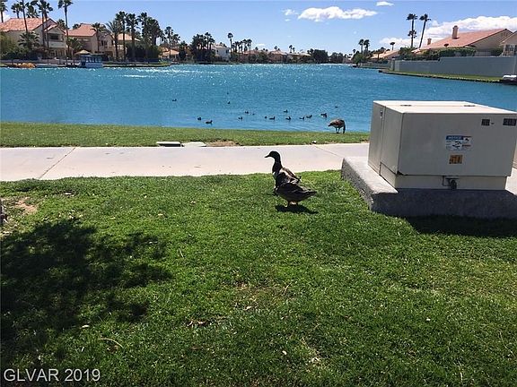 Lots of wild life on the lakes, you can even go fishing there! Lakes are stoked.