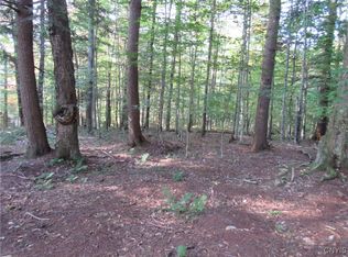 LOT 59 Cayuga Rd LOT 59, Old Forge, NY 13420