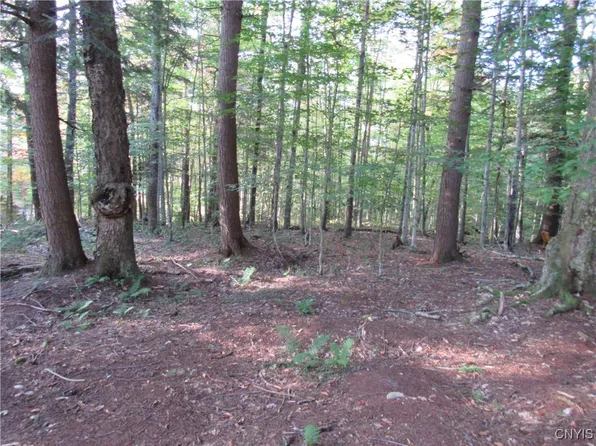 LOT 59 Cayuga Rd Lot 59, Old Forge, NY 13420