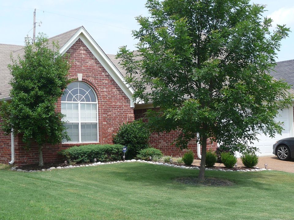 Located on cove! Great yard.