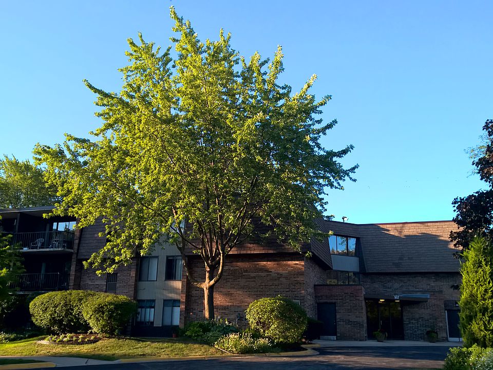 1st image of 907 S Williams St APT 309
