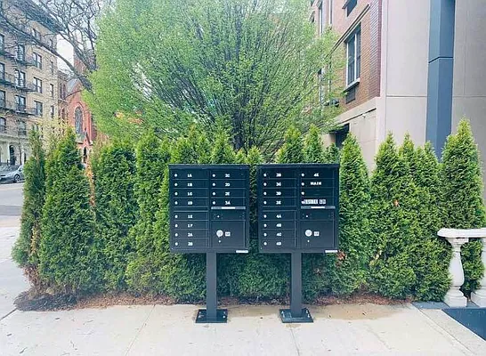 Rented by CT Green Management LLC | media 6