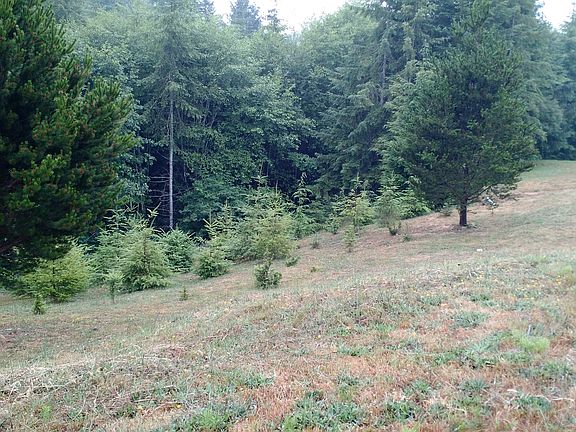 2nd image of Lot 6 Hoban Place
