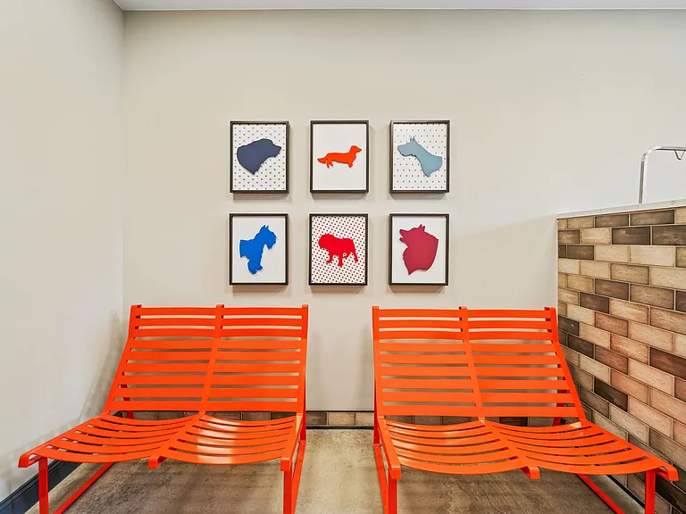 Pet Washing Station