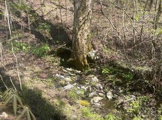 1 Old Furnace Rd, Tellico Plains, TN 37385