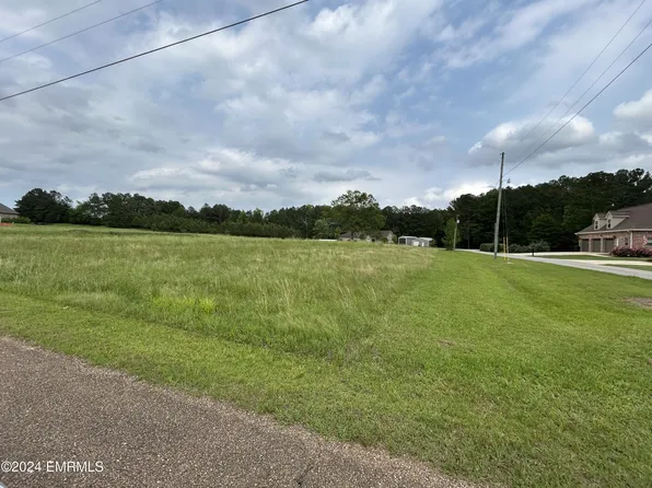 Dogwood Ln, Philadelphia, MS 39350