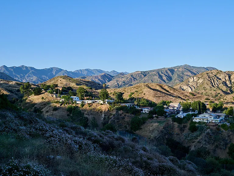 12000 Mountain View Trl — Photo 5