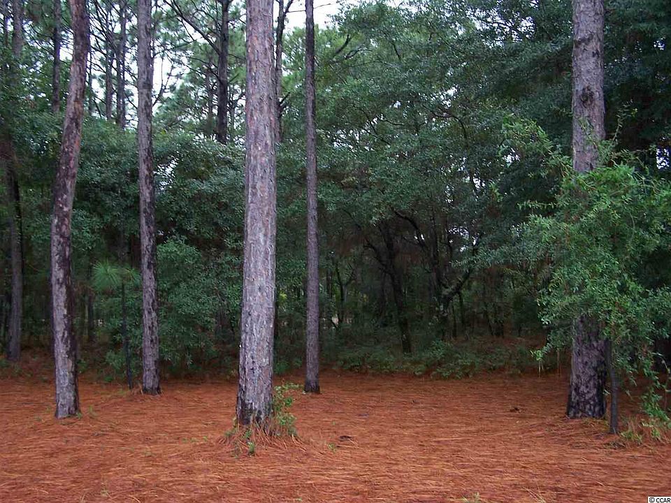 2nd image of TBD Old Ashley Loop