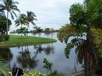 1st image of 903 Lake Shore Dr