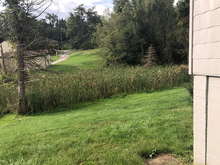 1044 Moon Run Rd — Photo 7