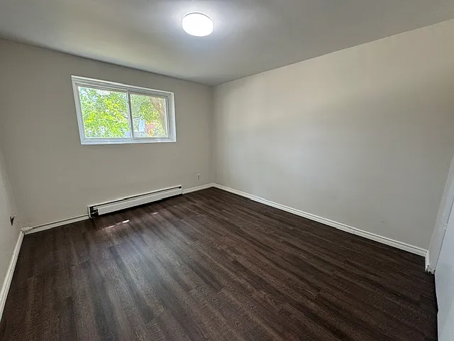 236 Louisa St #1B — Photo 16