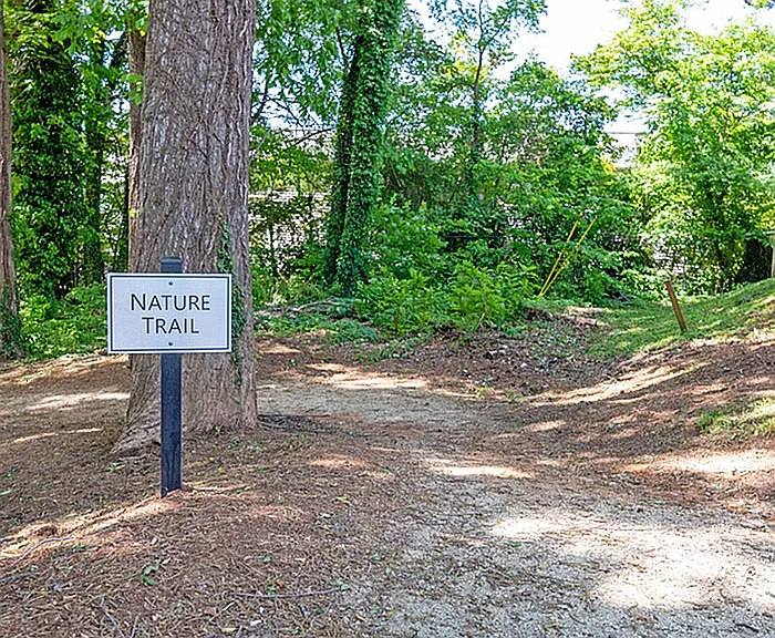DSC_4269