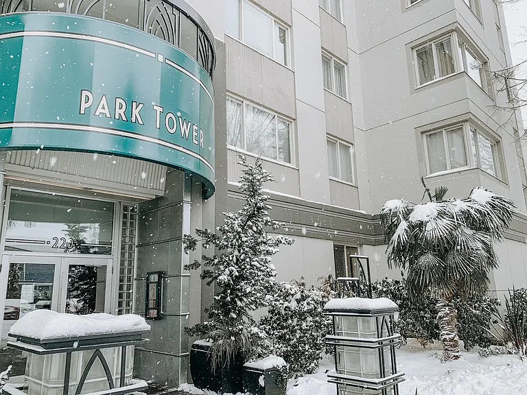 Snowy Park Tower Entrance