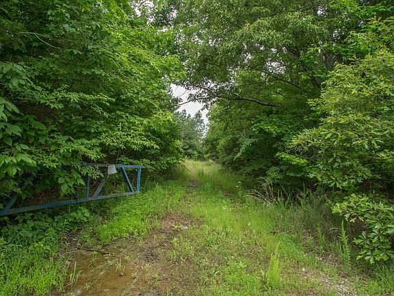 3rd image of 115 Baudy James Rd