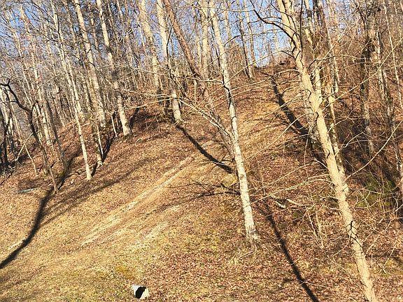 4th image of 111 Dogwood Hollow Dr