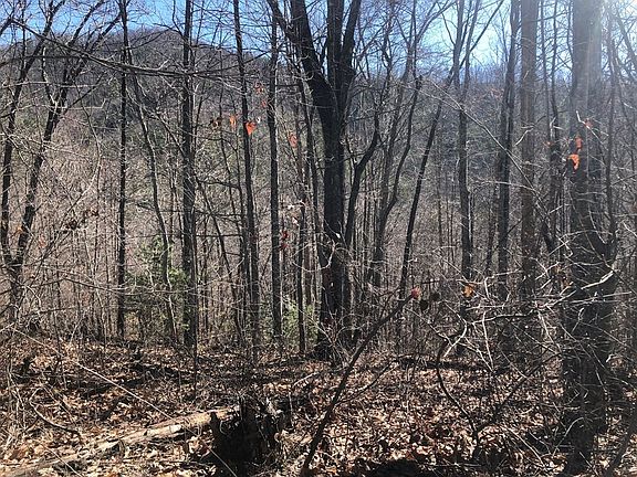 5th image of 15 Hickory Tree St Lot 15