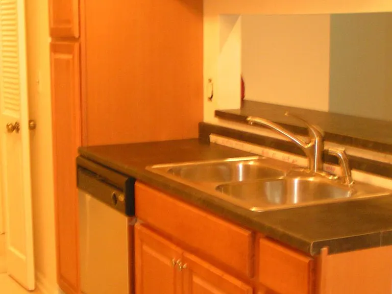 Kitchen sink and dishwasher