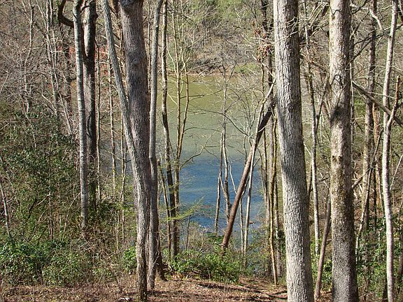view from back porch