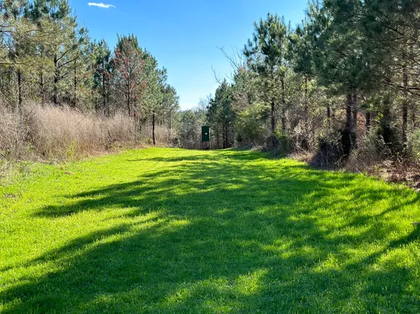 0 County Road 96, Millport, AL 35576