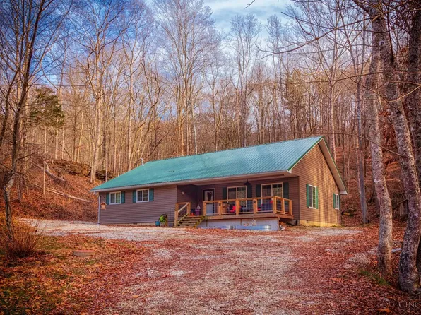 724 Tracy Run Rd, Stout, OH 45684