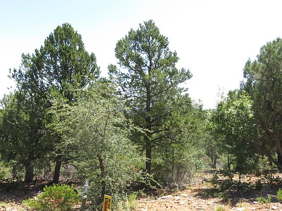 5th image of 575 E Middle Mountain Ln