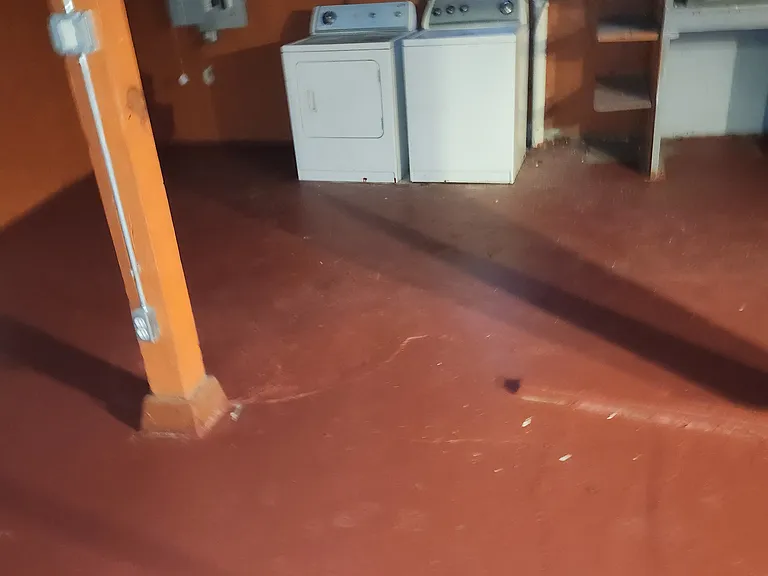 This photo only shows a portion of the basement. The landlord provides the washer and dryer. There's plenty of storage space as well.