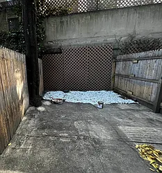 Rented by Salon Realty Corp