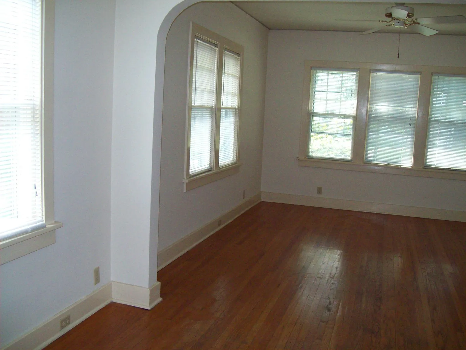 310 W William St photo 1