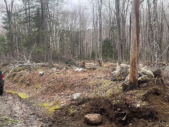 3rd image of Dunn Rd