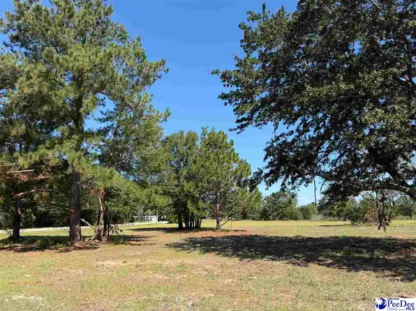 LOT 1 Isaiah Dr, Dillon, SC 29536