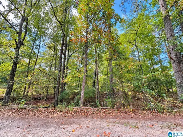 LOT 4 Hickory Holw Lot 4, Wedowee, AL 36278