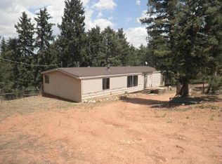 223 May Queen Dr, Cripple Creek, CO 80813
