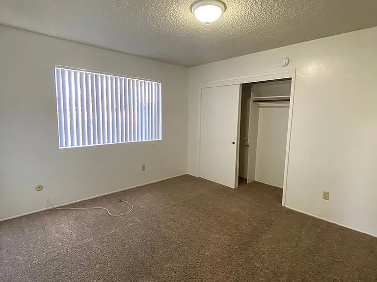 2540 Olive St — Photo 8