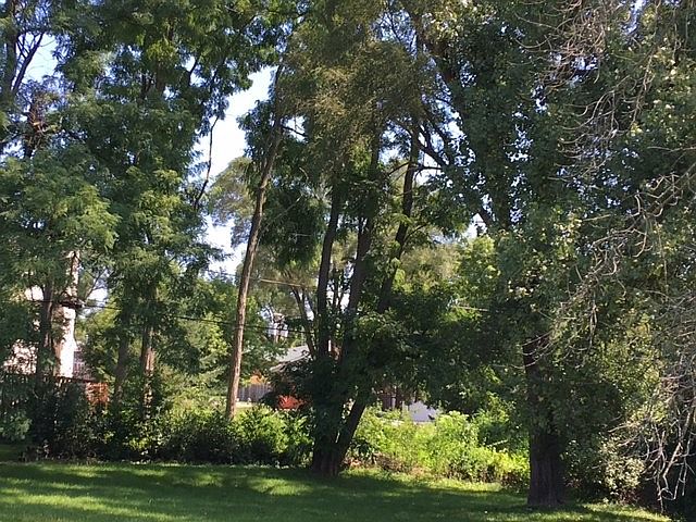 2nd image of 1124 Northshore Dr