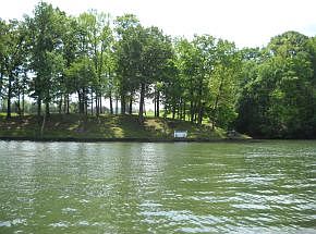 4th image of 678 Lake Point Dr